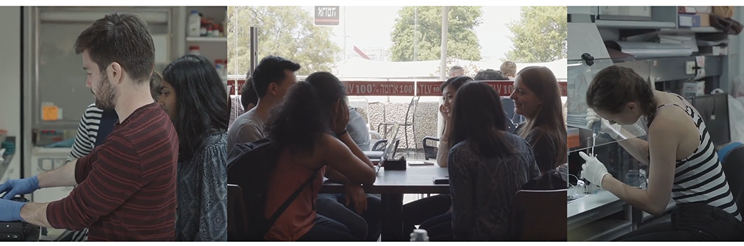 NYU Tel Aviv students