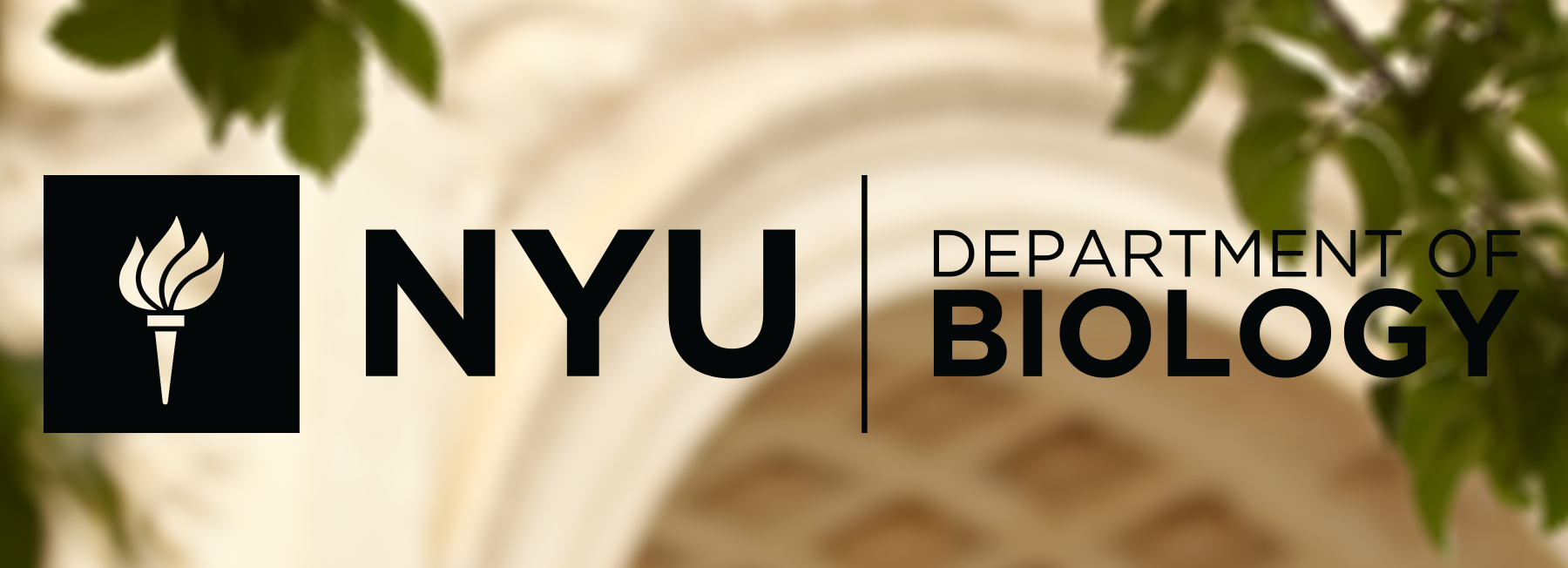 nyu biology phd programs